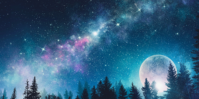 Moon, hidden by trees in a starlit sky